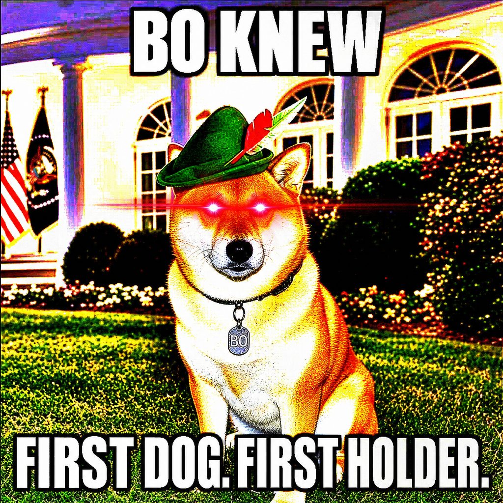bo knew