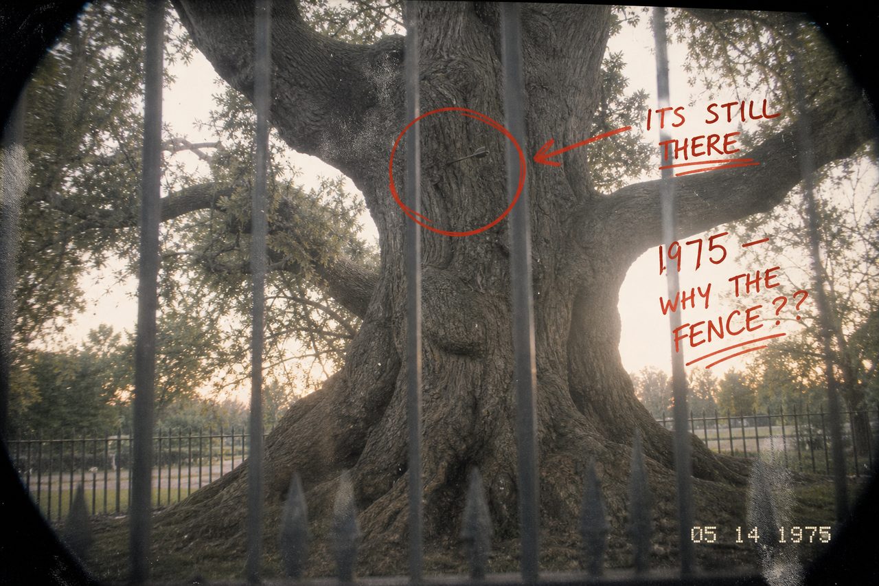 the oak